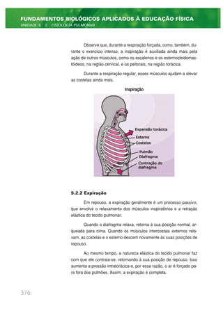 Observe que, durante a respiração forçada, como, também, du-
rante o exercício intenso, a inspiração é auxiliada ainda mais pela
ação de outros músculos, como os escalenos e os esternocleidomas-
tóideos, na região cervical, e os peitorais, na região torácica.
Durante a respiração regular, esses músculos ajudam a elevar
as costelas ainda mais.
Inspiração
5.2.2 Expiração
Em repouso, a expiração geralmente é um processo passivo,
que envolve o relaxamento dos músculos inspiratórios e a retração
elástica do tecido pulmonar.
Quando o diafragma relaxa, retorna à sua posição normal, ar-
queada para cima. Quando os músculos intercostais externos rela-
xam, as costelas e o esterno descem novamente às suas posições de
repouso.
Ao mesmo tempo, a natureza elástica do tecido pulmonar faz
com que ele contraia-se, retornando à sua posição de repouso. Isso
aumenta a pressão intratorácica e, por essa razão, o ar é forçado pa-
ra fora dos pulmões. Assim, a expiração é completa.
376
FUNDAMENTOS BIOLÓGICOS APLICADOS À EDUCAÇÃO FÍSICA
UNIDADE 5 | FISIOLOGIA PULMONAR
 