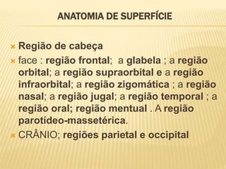 ANATOMIA DE SUPERFÍCIE
 Região de cabeça
 face : região frontal; a glabela ; a região
orbital; a região supraorbital e a região
infraorbital; a região zigomática ; a região
nasal; a região jugal; a região temporal ; a
região oral; região mentual . A região
parotídeo-massetérica.
 CRÂNIO; regiões parietal e occipital
 