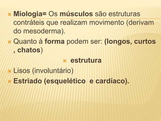  Miologia= Os músculos são estruturas
contráteis que realizam movimento (derivam
do mesoderma).
 Quanto à forma podem ser: (longos, curtos
, chatos)
 estrutura
 Lisos (involuntário)
 Estriado (esquelético e cardíaco).
 