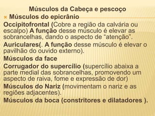 Músculos da Cabeça e pescoço
 Músculos do epicrânio
Occipitofrontal (Cobre a região da calvária ou
escalpo) A função desse músculo é elevar as
sobrancelhas, dando o aspecto de “atenção”.
Auriculares(. A função desse músculo é elevar o
pavilhão do ouvido externo).
Músculos da face
Corrugador do supercílio (supercílio abaixa a
parte medial das sobrancelhas, promovendo um
aspecto de raiva, fome e expressão de dor)
Músculos do Nariz (movimentam o nariz e as
regiões adjacentes).
Músculos da boca (constritores e dilatadores ).
 