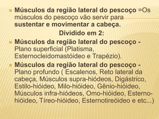  Músculos da região lateral do pescoço =Os
músculos do pescoço vão servir para
sustentar e movimentar a cabeça.
Dividido em 2:
 Músculos da região lateral do pescoço -
Plano superﬁcial (Platisma,
Esternocleidomastóideo e Trapézio).
 Músculos da região lateral do pescoço -
Plano profundo ( Escalenos, Reto lateral da
cabeça, Músculos supra-hiódeos, Digástrico,
Estilo-hióideo, Milo-hióideo, Gênio-hióideo,
Músculos infra-hiódeos, Omo-hióideo, Esterno-
hióideo, Tíreo-hióideo, Esternotireóideo e etc...)
 