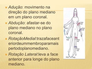  Adução: movimento na
direção do plano mediano
em um plano coronal.
 Abdução: afastar-se do
plano mediano no plano
coronal.
 RotaçãoMedial:trazafaceant
eriordeummembroparamais
pertodoplanomediano.
 Rotação Lateral:leva a face
anterior para longe do plano
mediano.
 