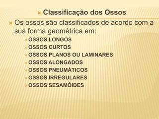  Classificação dos Ossos
 Os ossos são classificados de acordo com a
sua forma geométrica em:
 OSSOS LONGOS
 OSSOS CURTOS
 OSSOS PLANOS OU LAMINARES
 OSSOS ALONGADOS
 OSSOS PNEUMÁTICOS
 OSSOS IRREGULARES
 OSSOS SESAMÓIDES
 
