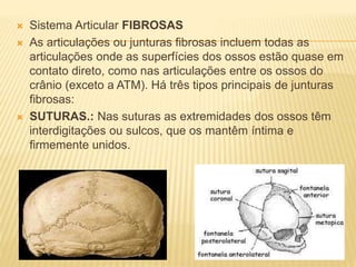  Sistema Articular FIBROSAS
 As articulações ou junturas fibrosas incluem todas as
articulações onde as superfícies dos ossos estão quase em
contato direto, como nas articulações entre os ossos do
crânio (exceto a ATM). Há três tipos principais de junturas
fibrosas:
 SUTURAS.: Nas suturas as extremidades dos ossos têm
interdigitações ou sulcos, que os mantêm íntima e
firmemente unidos.
 