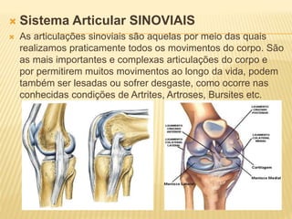  Sistema Articular SINOVIAIS
 As articulações sinoviais são aquelas por meio das quais
realizamos praticamente todos os movimentos do corpo. São
as mais importantes e complexas articulações do corpo e
por permitirem muitos movimentos ao longo da vida, podem
também ser lesadas ou sofrer desgaste, como ocorre nas
conhecidas condições de Artrites, Artroses, Bursites etc.
 