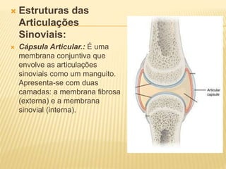  Estruturas das
Articulações
Sinoviais:
 Cápsula Articular.: É uma
membrana conjuntiva que
envolve as articulações
sinoviais como um manguito.
Apresenta-se com duas
camadas: a membrana fibrosa
(externa) e a membrana
sinovial (interna).
 