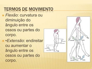 TERMOS DE MOVIMENTO
 Flexão: curvatura ou
diminuição do
ângulo entre os
ossos ou partes do
corpo.
 •Extensão: endireitar
ou aumentar o
ângulo entre os
ossos ou partes do
corpo.
 