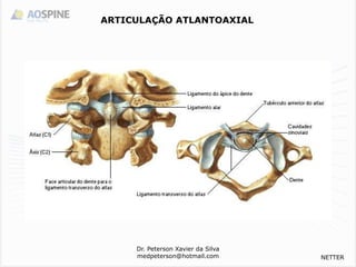 Dr. Peterson Xavier da Silva
medpeterson@hotmail.com
ARTICULAÇÃO ATLANTOAXIAL
NETTER
 