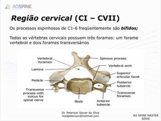Região cervical (CI – CVII)
Os processos espinhosos de C1-6 freqüentemente são bífidos;
Todas as vértebras cervicais possuem três forames: um forame
vertebral e dois forames transversários
Dr. Peterson Xavier da Silva
medpeterson@hotmail.com AO SPINE MASTER
SERIE
 