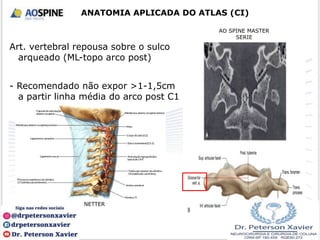 Art. vertebral repousa sobre o sulco
arqueado (ML-topo arco post)
- Recomendado não expor >1-1,5cm
a partir linha média do arco post C1
ANATOMIA APLICADA DO ATLAS (CI)
NETTER
AO SPINE MASTER
SERIE
 