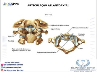 ARTICULAÇÃO ATLANTOAXIAL
NETTER
 