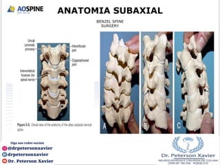 ANATOMIA SUBAXIAL
BENZEL SPINE
SURGERY
 