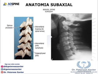 ANATOMIA SUBAXIAL
BENZEL SPINE
SURGERY
 