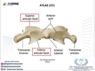 ATLAS (CI)
AO SPINE MASTER
SERIE
 