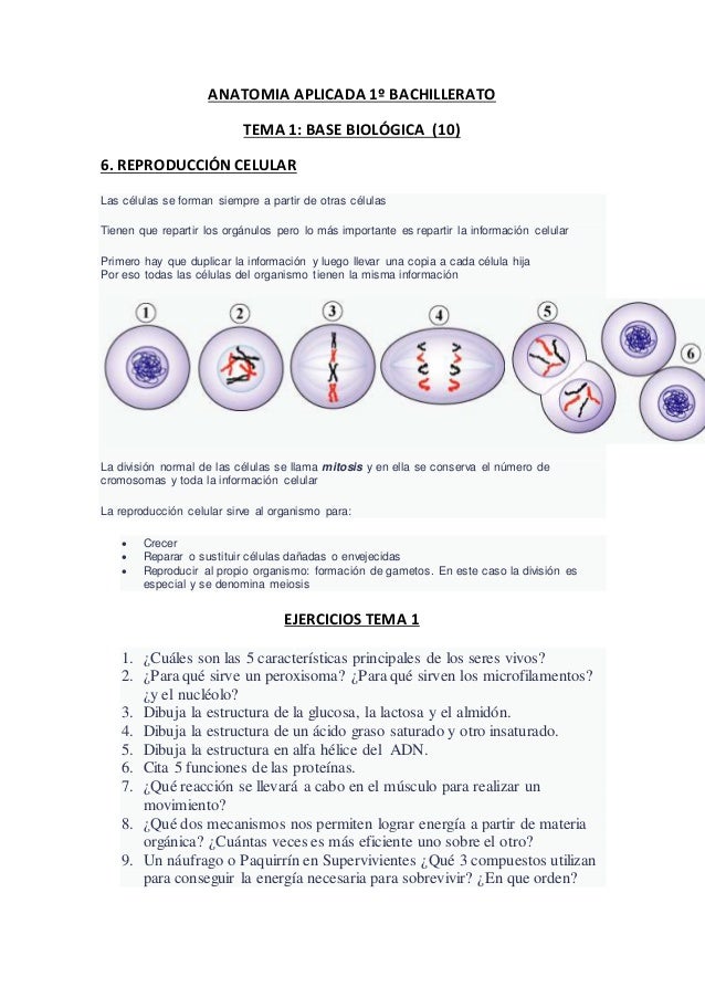 Anatomia Aplicada Tema 1