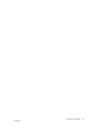 Anatomia do Aparelho
Locomotor
82
 
