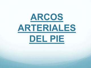 ARCOS
ARTERIALES
DEL PIE
 