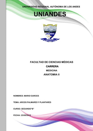 1
FACULTAD DE CIENCIAS MÉDICAS
CARRERA
MEDICINA
ANATOMIA II
NOMBRES: MARIO GARCES
TEMA: ARCOS PALMARES Y PLANTARES
CURSO: SEGUNDO“B”
FECHA: 25/06/2015
UNIVERSIDAD REGIONAL AUTÓNOMA DE LOS ANDES
UNIANDES
 