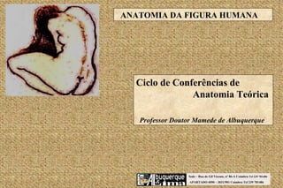 Sede – Rua de Gil Vicente, nº 86-A Coimbra  Tel 239 781486 APARTADO 4090 – 3031/901 Coimbra Tel 239 781486 Ciclo de Conferências de    Anatomia Teórica  Professor Doutor Mamede de Albuquerque ANATOMIA DA FIGURA HUMANA 