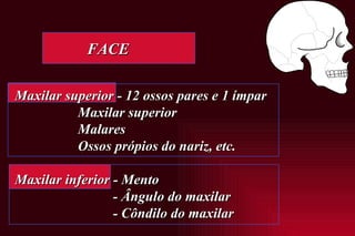   FACE Maxilar superior - 12 ossos pares e 1 ímpar Maxilar superior Malares Ossos própios do nariz, etc. Maxilar inferior - Mento   - Ângulo do maxilar   - Côndilo do maxilar 