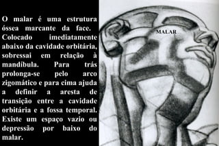 MALAR O malar é uma estrutura óssea marcante da face.  Colocado imediatamente abaixo da cavidade orbitária, sobressai em relação à mandíbula. Para trás prolonga-se pelo arco zigomático e para cima ajuda a definir a aresta de transição entre a cavidade orbitária e a fossa temporal. Existe um espaço vazio ou depressão por baixo do malar. 
