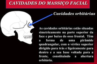 CAVIDADES DO MASSIÇO FACIAL     Cavidades orbitárias         As cavidades orbitárias estão situadas simetricamente na parte superior da face e por baixo do osso frontal.  Têm a forma de uma pirâmide quadrangular, com o vértice superior dirigido para trás e ligeiramente para dentro e a sua base voltada para a frente, constituindo a abertura orbitária. 