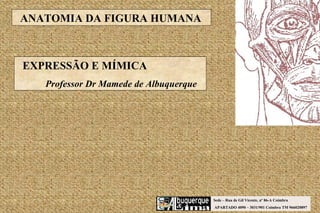Sede – Rua de Gil Vicente, nº 86-A Coimbra APARTADO 4090 – 3031/901 Coimbra TM 966020897 EXPRESSÃO E MÍMICA Professor Dr Mamede de Albuquerque ANATOMIA DA FIGURA HUMANA 