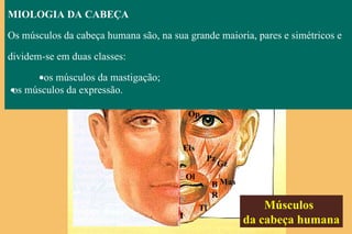Fr Tp Sc Op Ol Els Pz Gz Mas B R Tl M Músculos da cabeça humana MIOLOGIA DA CABEÇA Os músculos da cabeça humana são, na sua grande maioria, pares e simétricos e dividem-se em duas classes:  os músculos da mastigação;   os músculos da expressão. 
