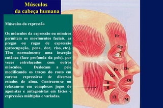 Músculos da cabeça humana Fr Op Ol Els Pz Gz R Tl M B Temporal Masséter Músculos da expressão Os músculos da expressão ou mímicos permitem os movimentos faciais, as pregas ou rugas de expressão (preocupação,  pena,  dor,  riso, etc.). Têm normalmente uma inserção cutânea (face profunda da pele), por vezes entrelaçados com outros músculos.  Deslocam a pele modificando os traços do rosto em caretas expressivas de diversos estados de alma. Contraem-se ou relaxam-se em complexos jogos de agonistas e antagonistas em fácies e expressões múltiplas e variadas. 