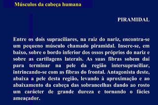 Músculos da cabeça humana PIRAMIDAL Entre os dois supraciliares, na raiz do nariz, encontra-se um pequeno músculo chamado piramidal. Insere-se, em baixo, sobre o bordo inferior dos ossos próprios do nariz e sobre as cartilagens laterais. As suas fibras sobem daí para terminar na pele da região intersupraciliar, intrincando-se com as fibras do frontal. Antagonista deste, abaixa a pele desta região, levando à aproximação e ao abaixamento da cabeça das sobrancelhas dando ao rosto um carácter de grande dureza e tornando o fácies ameaçador.  