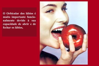 O Orbicular dos lábios é  m uito importante funcio - nalmente devido à sua capacidade de abrir e de fechar os lábios, 