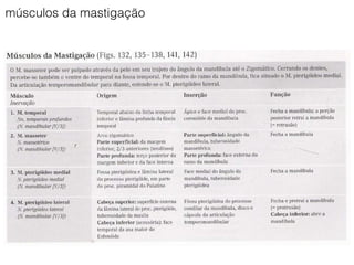 músculos da mastigação
 