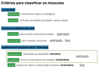 Critérios para classiﬁcar os músculos
Localização
Somáticos
controlam atividades de órgãos, vasos e dutos
Controle do Sistema Nervoso
sob controle consciente imediato
sem controle consciente
Aparência microscópica geral - Histologia
Esqueléticos
Cardíacos
Lisos
movimentam ossos e cartilagens
Viscerais
Voluntário
Involuntário
associado ao esqueleto; voluntário
forma a musculatura do coração; involuntário
parede de vasos e vários órgão viscerais; involuntário
estriado
liso
estriado
estriado liso
 