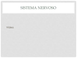 SISTEMA NERVOSO 
Vídeo  