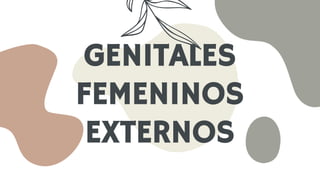 GENITALES
FEMENINOS
EXTERNOS
 