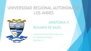 UNIVERSIDAD REGIONAL AUTONOMA DE
LOS ANDES
ANATOMIA II
RESUMEN DE BAZO
VANESSA ESTEFANIA FLORES TURUSHINA
DR. ARMANDO QUINTANA
SEGUNDO “A”
 