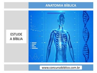 www.concursobiblico.com.br
ANATOMIA BÍBLICA
ESTUDE
A BÍBLIA
 