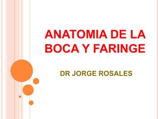 ANATOMIA DE LA
BOCA Y FARINGE
DR JORGE ROSALES
 