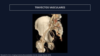 Presentación de Anatomía de cadera.pptx