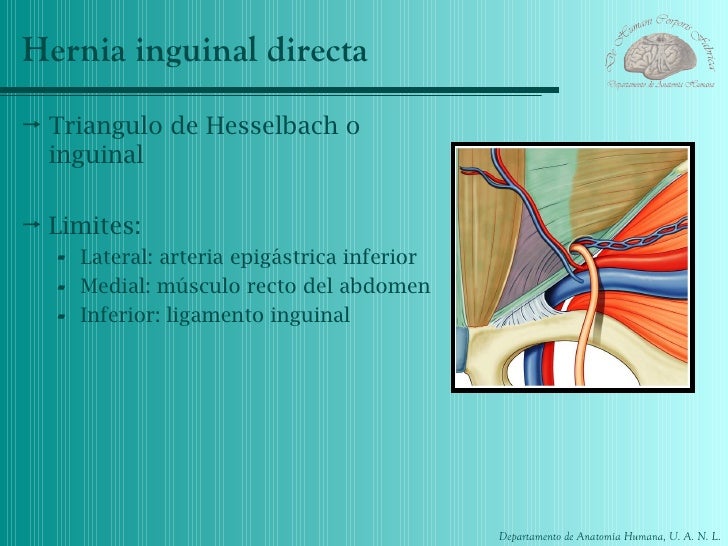 La osteocondrosis la espátula a la izquierda