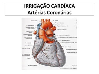 IRRIGAÇÃO CARDÍACA
Artérias Coronárias
 