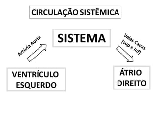 VENTRÍCULO
ESQUERDO
ÁTRIO
DIREITO
SISTEMA
CIRCULAÇÃO SISTÊMICA
 