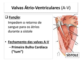 Valvas Átrio-Ventriculares (A-V)
 Função:
Impedem o retorno de
sangue para os átrios
durante a sístole
• Fechamento das valvas A-V
– Primeira Bulha Cardíaca
(“tum”)
SÍSTOLE
 