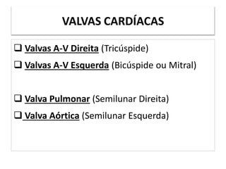 VALVAS CARDÍACAS
 Valvas A-V Direita (Tricúspide)
 Valvas A-V Esquerda (Bicúspide ou Mitral)
 Valva Pulmonar (Semilunar Direita)
 Valva Aórtica (Semilunar Esquerda)
 
