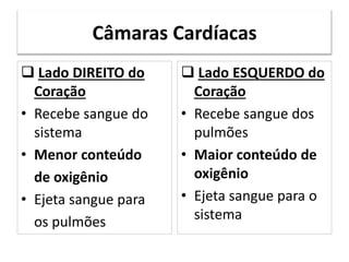 Câmaras Cardíacas
 Lado DIREITO do
Coração
• Recebe sangue do
sistema
• Menor conteúdo
de oxigênio
• Ejeta sangue para
os pulmões
 Lado ESQUERDO do
Coração
• Recebe sangue dos
pulmões
• Maior conteúdo de
oxigênio
• Ejeta sangue para o
sistema
 