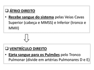  ÁTRIO DIREITO
• Recebe sangue do sistema pelas Veias Cavas
Superior (cabeça e MMSS) e Inferior (tronco e
MMII)
 VENTRÍCULO DIREITO
• Ejeta sangue para os Pulmões pelo Tronco
Pulmonar (divide em artérias Pulmonares D e E)
 