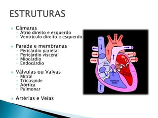 Câmaras
◦ Átrio direito e esquerdo
◦ Ventrículo direito e esquerdo
 Parede e membranas
◦ Pericárdio parietal
◦ Pericárdio visceral
◦ Miocárdio
◦ Endocárdio
 Válvulas ou Valvas
◦ Mitral
◦ Tricúspide
◦ Aórtica
◦ Pulmonar
 Artérias e Veias
 