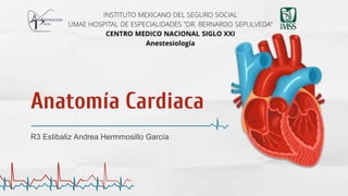 Anatomía Cardiaca
R3 Estibaliz Andrea Hermmosillo García
 