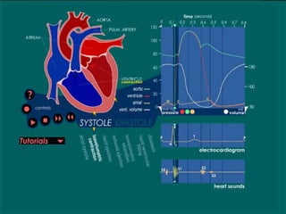 Comprehensive Overview of Cardiac Anatomy and Physiology | PPTX