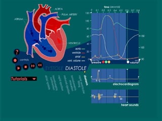 Comprehensive Overview of Cardiac Anatomy and Physiology | PPTX